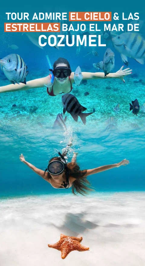 Tour El Cielo Cozumel snorkel económico